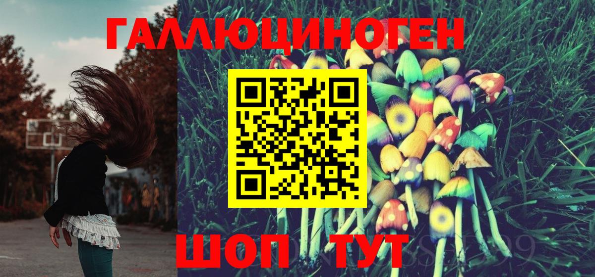 Елец  Галлюциногенные грибы мухоморы  Вход с VPN 