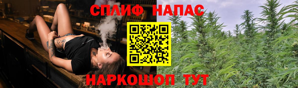 Елец  Бошки марихуана Bruce Banner  Канабис планчик  Вход с VPN  Бошки марихуана Bruce Banner 