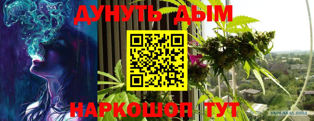 Конопля конопля Елец